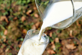 В Ленобласти возобновил работу завод по производству молочных продуктов «Лосево»